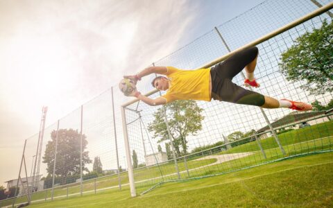 goalkeeper-5754865_1280